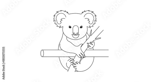 Smiling Koala Sitting on a Branch