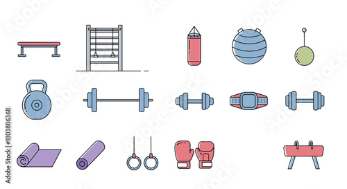 Colorful flat lay illustration of various gym and fitness equipment including weights, a punching bag, yoga mat, and gymnastics apparatus.