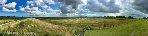 Typical Dutch landscape panorama of a field with grass and fences