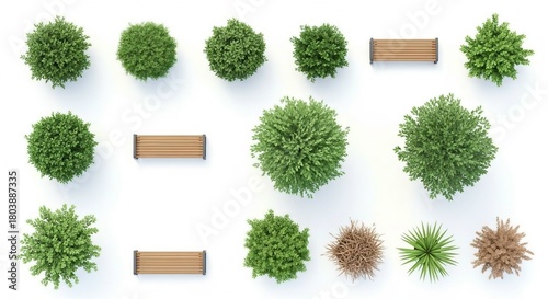 Top view collection of diverse plants and park benches set isolated on white background