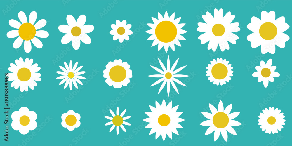 Fototapeta premium Daisy camomile set flowers. Cute round floral plants on the pink background