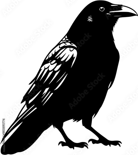 
Raven bird silhouette vector, black crow icon, standing raven illustration, spooky bird shape, Halloween animal graphic
