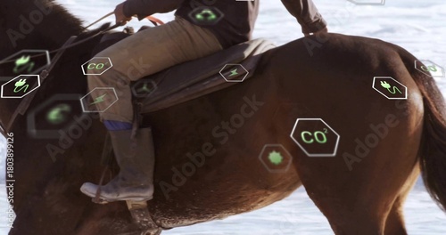 Riding brown horse, person in tan breeches, gray boots trotting on pale shoreline with AR icons