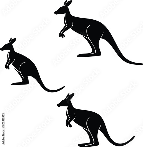 Three kangaroos in silhouette, evoking the Australian outback and wildlife, ideal for travel brochures, nature documentaries, and conservation campaigns