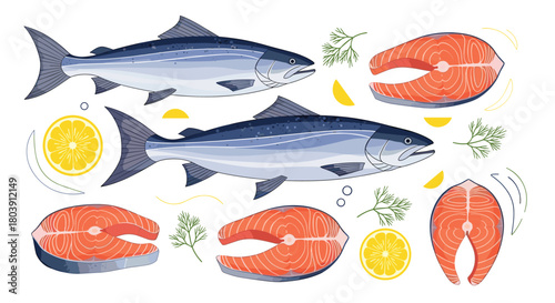 Fresh Salmon Fish and Slices with Lemon and Parsley Healthy Food Illustration