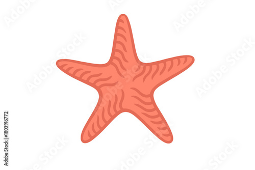 Coral colored sea star creature with five arms isolated against a clean white backdrop