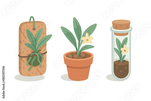 Collection of miniature flowering plants grown in a terracotta pot, cork mount, and glass tube