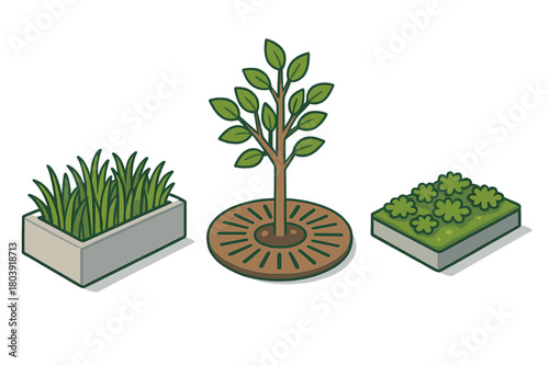 Isometric set of urban landscaping elements featuring a young tree, potted grass, and shrubs