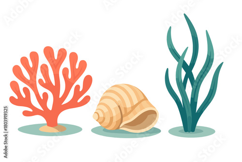 Bright red coral, striped conch shell, and tall green algae marine life collection