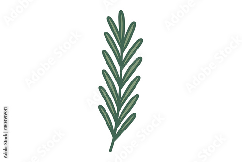 Stylized green sprig of aromatic herb foliage isolated on white background