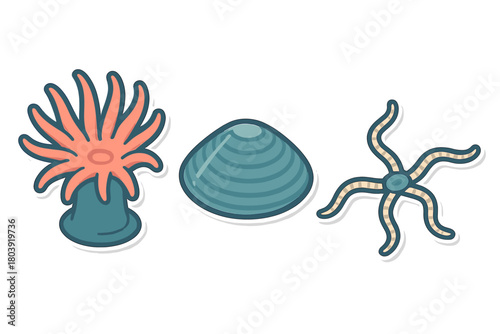 Stylized marine life icons of a sea anemone, clam, and brittle star