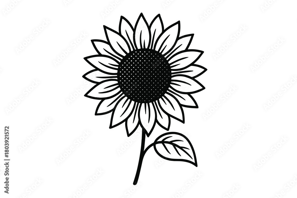 Fototapeta premium Minimalist black and white outline of a single sunflower showing the head, stem, and leaf