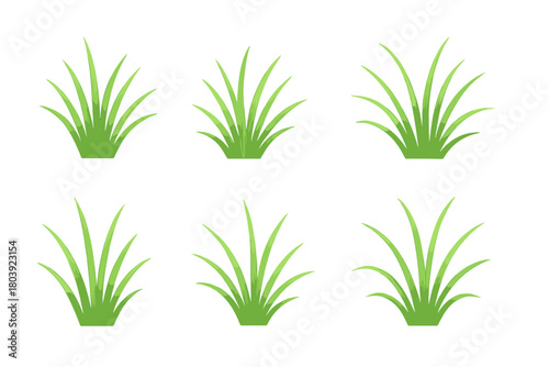 Six vibrant green grass tufts or bushes isolated on a clean white background