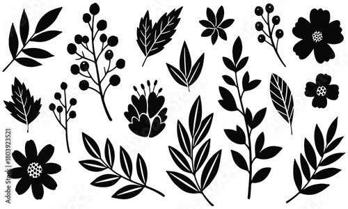 Botanical Illustration Collection of Black and White Floral and Leafy Elements