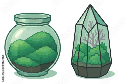 Two decorative glass terrariums containing lush green moss and small plants for indoor gardening