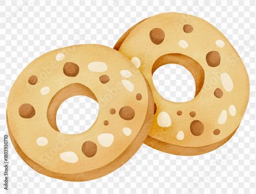 Watercolor donut cookies illustration for sweet autumn treats and Thanksgiving dessert design. Vector.