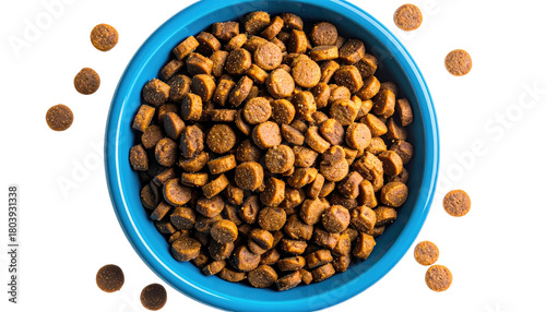 Blue bowl filled with brown dog food, isolated