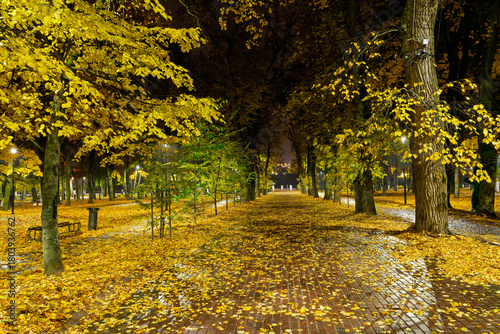 Empty park alley at night with fallen golden leaf and glowing street light. Autumn landscape with warm illumination for seasonal background.