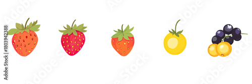 Set of colorful fresh cartoon berries isolated on white background including strawberries, golden berry, and black currants vector illustration flat style
