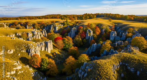 Aerial Photography of Akiyoshidai Limestone Plateau Autumn Karst Landscape