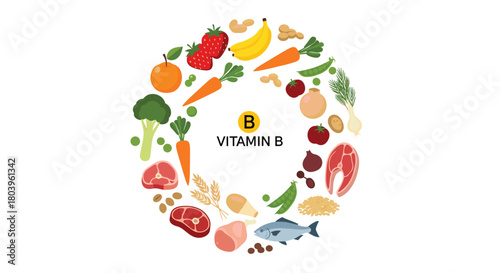 Healthy foods rich in Vitamin B, including fruits, vegetables, meats, grains, and nuts, displayed in a circle to illustrate a balanced diet.
