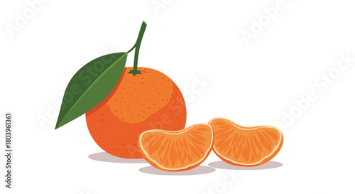 A vibrant illustration of a fresh tangerine with a green leaf and stem, alongside two juicy, peeled segments, presented on a clean white background.
