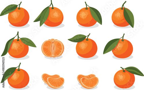 Mandarin Orange fruit for health Vector illustration