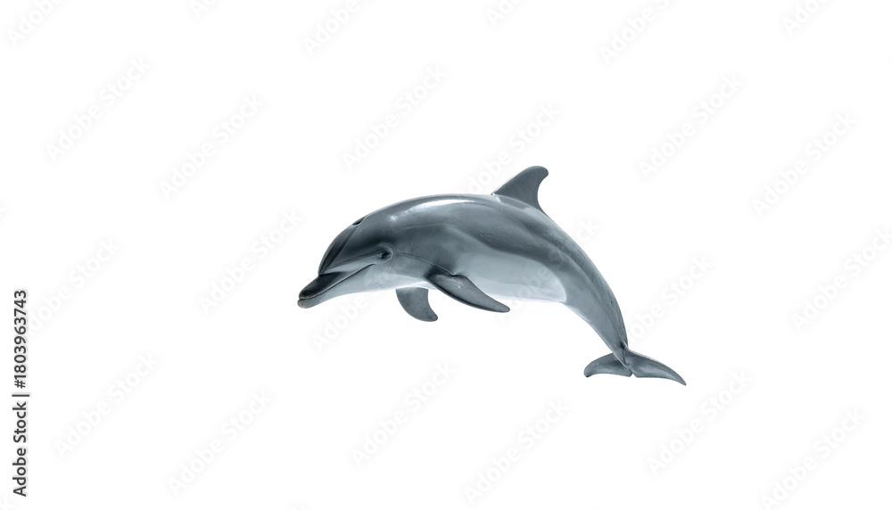 Fototapeta premium Glossy dolphin leaping upwards isolated on stark black background