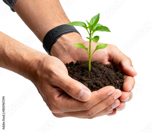 Male Hands Holding Sprout and Soil Isolated PNG