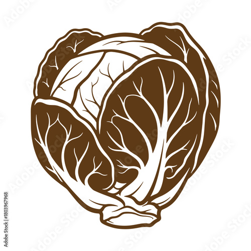 Artistic sketch illustration of a detailed brown cabbage vegetable isolated on white background