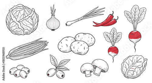 Vegetable Variety Illustration: A Detailed Black and White Sketch.