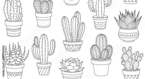 Cactus Collection: A Detailed Line Art Illustration of Various Succulents.