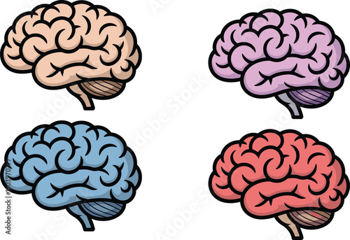 Human brain anatomy illustrations in multiple colors, medical vector set for neuroscience education, biology diagrams, cognitive science learning materials