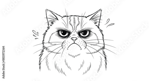Grumpy cat portrait with a focused and angry expression.