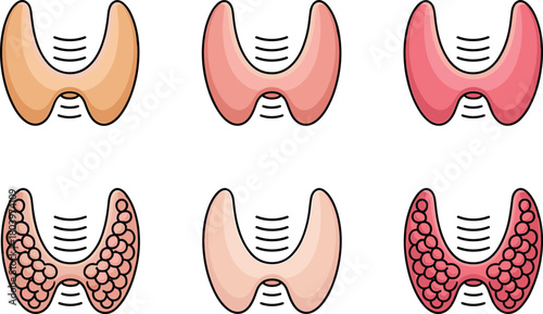 Thyroid gland vector illustration set, endocrine system anatomy, medical thyroid diagram, hormone gland icon pack, human neck anatomy graphic.