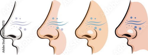 Nose anatomy illustration set showing smell function, breathing airflow, allergy symptoms, sinus concept graphics for medical education and healthcare infographics.
