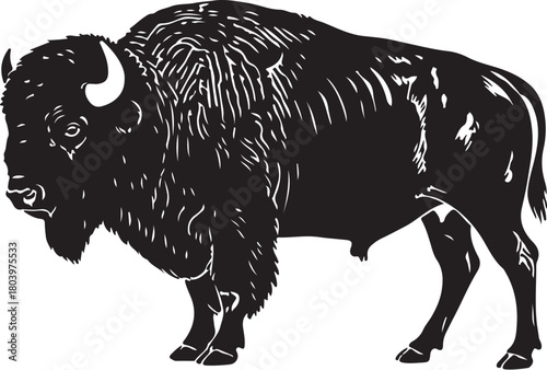  Black buffalo silhouette in classic vintage western poster style, rough edges, white background.