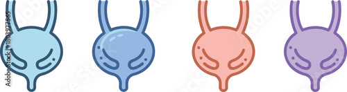 Colorful human bladder anatomy icons, medical urinary system illustration set, healthcare vector organ diagram, urology education graphic for diagnosis and study