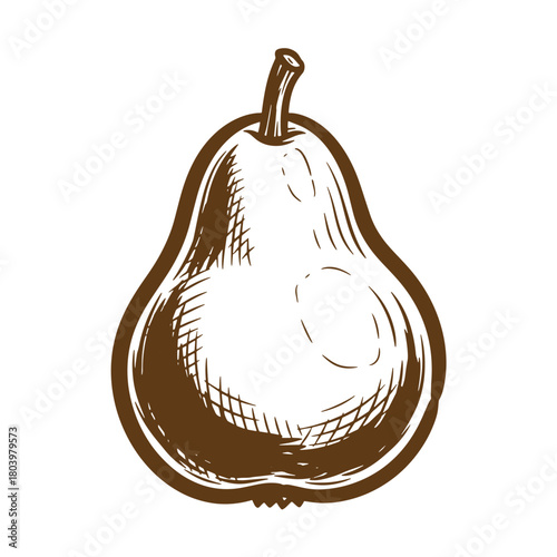 Elegant brown sketch of a pear fruit isolated on white background for design purposes
