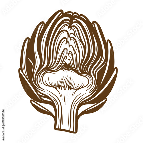 Hand drawn sketch of a delicious artichoke vegetable with detailed vintage style illustration