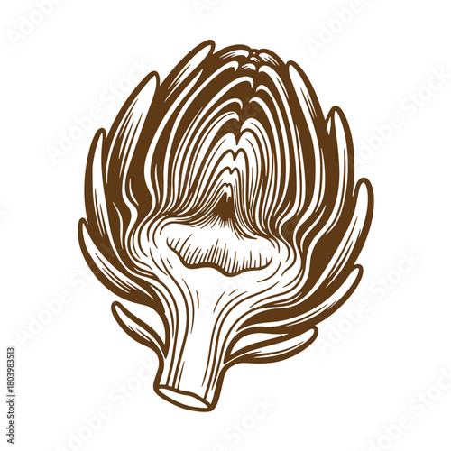 Hand drawn sketch of a delicious artichoke vegetable with vintage style illustration