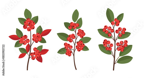 Stylized illustration of three vibrant berry branches with green leaves, perfect for seasonal designs and festive decorations.