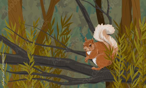 A squirrel sits on a branch in a dense, dark forest. Realistic vector landscape.