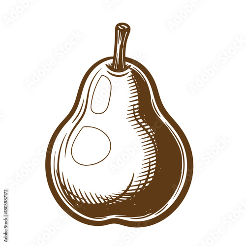 Vector illustration of a hand drawn sketch style vintage pear fruit isolated on white