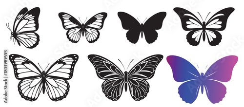 Set of butterflies vector collection, isolated insect graphic, decorative animal element, nature spring design, elegance symbol, variety silhouette illustration, summer pattern