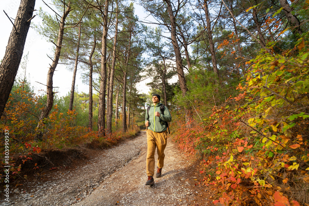 Obraz premium Happy runner on the forest path in autumn