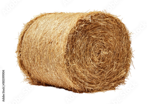 Round bale of hay, golden brown, fibrous texture, isolated