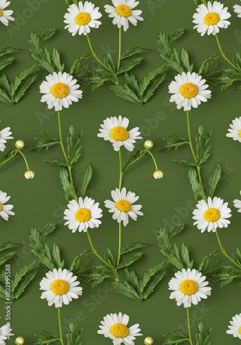 A seamless botanical pattern featuring charming white chamomile blossoms and lush green leaves, ideal for tranquil design projects ,print ,wild ,organic
