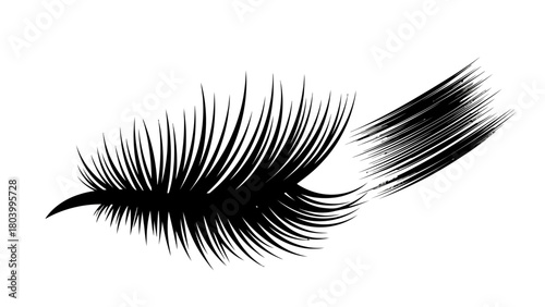 A black wispy feather against a white background