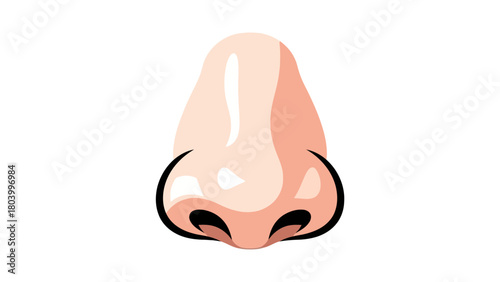 A cartoon illustration of a human nose with shading